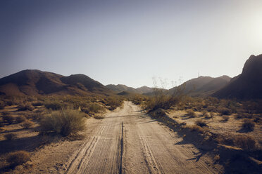 Scenic view of dirt road against clear sky on sunny day - CAVF28749