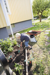 Boy working in garden - FOLF01296