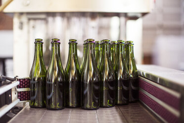 Bierflaschen auf einem Förderband in einer Brauerei - CAVF28865
