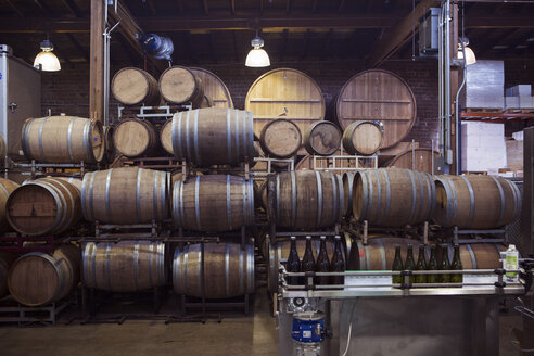Barrels arranged in warehouse at brewery - CAVF28869