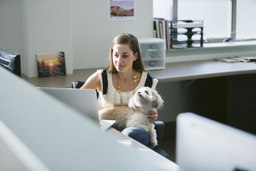 Geschäftsfrau mit Hund, die einen Laptop am Schreibtisch im Büro benutzt - CAVF29071