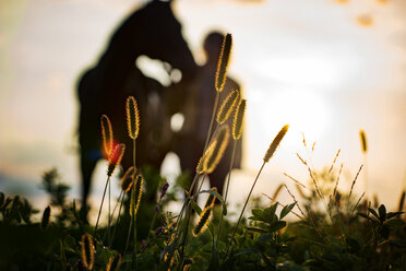 Unscharfes Bild einer Frau mit Pferd auf einem Feld bei Sonnenuntergang - CAVF29257