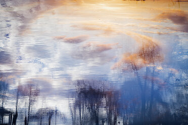 Reflections of trees and sunset sky in water - FOLF01638