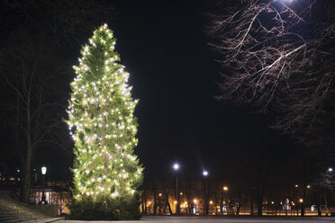 Illuminated Christmas tree at night - FOLF01649