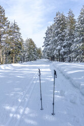 Skistöcke auf einem schneebedeckten Wanderweg im Yosemite National Park - CAVF29386