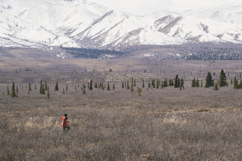 High angle view of woman walking on field against snowcapped mountains at Denali National Park stock photo
