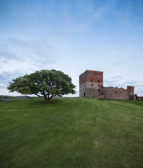 Blick auf Hammershus auf Bornholm - FOLF01710