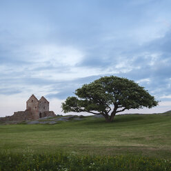 Blick auf Hammershus auf Bornholm - FOLF01712