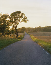 Blick auf Straße und Baum im Herbst - FOLF01756