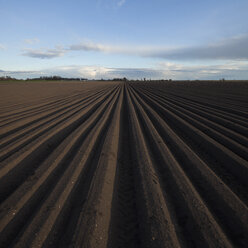 View of plowed field - FOLF01812