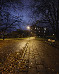 Beleuchtete Allee im Park bei Nacht - FOLF01836