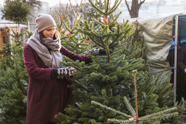 Frau sucht Weihnachtsbaum aus - FOLF01860
