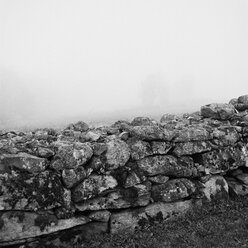 Ansicht der Steinmauer - FOLF01927