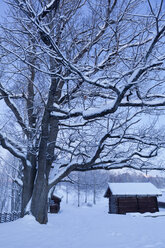 Mit Schnee bedeckte Holzhäuser - FOLF01996