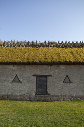 Hut with thatched roof - FOLF02004