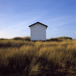 Beach huts in autumn evening - FOLF02042