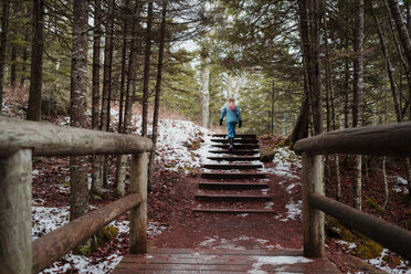 Rear view of woman walking on steps in forest - CAVF29599