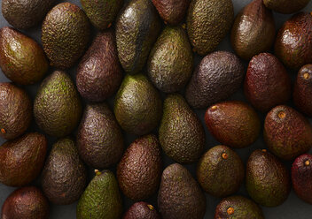 Halfed avocados - KSWF01883