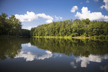 Symmetry view of lake by trees against cloudy sky - CAVF29704