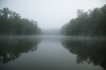Symmetry view of trees by lake against sky during foggy weather - CAVF29729