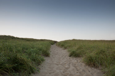 Sandy footpath on grassy field against clear blue sky - CAVF29833