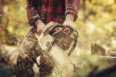Male lumberjack cutting log in forest - CAVF29870