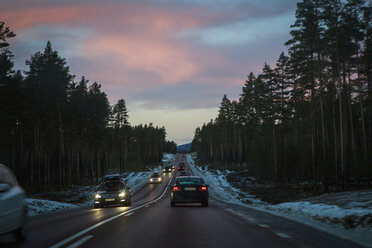 Autos auf der Straße durch den Wald bei Nacht - FOLF02131