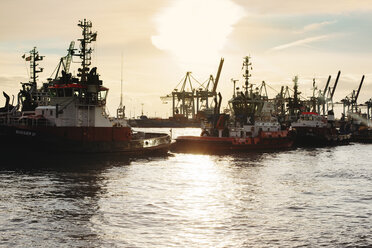 Ships in harbor in Hamburg - FOLF02203