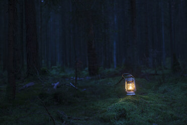 Laterne im Wald in der Abenddämmerung - FOLF02238