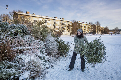 Junge Frau wirft alten Weihnachtsbaum weg - FOLF02266