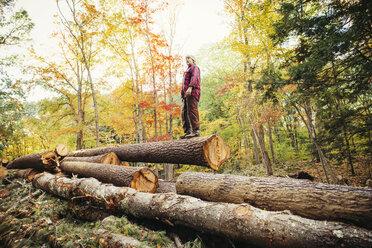 Niedriger Blickwinkel eines Holzfällers, der auf Baumstämmen im Wald steht - CAVF29953