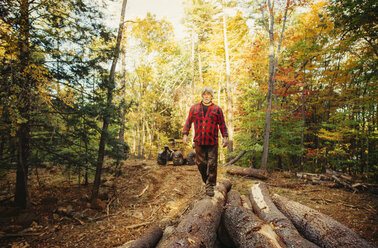 Holzfäller in voller Länge auf Baumstämmen im Wald - CAVF29954