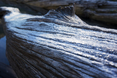 Nahaufnahme von Frost auf Holz - CAVF30057