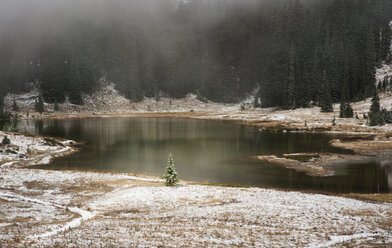 Malerischer Blick auf den See und die Bäume - CAVF30096