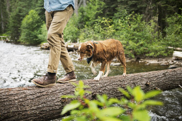 Tiefschnitt eines Mannes, der mit seinem Hund auf einem umgestürzten Baum über einem Fluss spazieren geht - CAVF30117