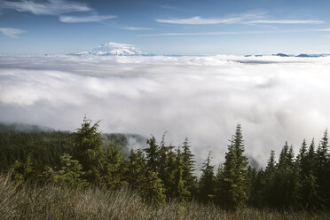 Landschaftliche Ansicht von Wolkenlandschaft und Feld gegen Himmel - CAVF30120