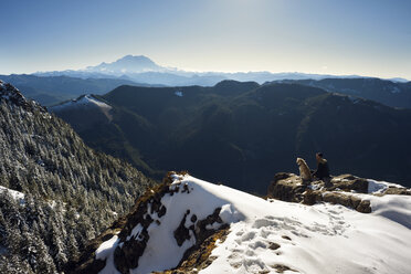 High angle view of man sitting with dog on mountain during winter - CAVF30182