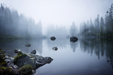 Scenic view of lake by trees in foggy weather - CAVF30251