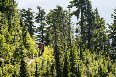 Hoher Blickwinkel von Wanderern, die wegschauen, während sie auf einem Wanderweg im Wald stehen - CAVF30320