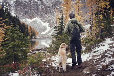 Rückansicht eines Mannes mit Hund im Wald im Winter - CAVF30337