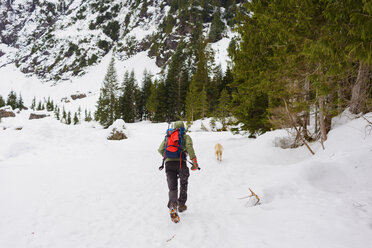 Rear view of male hiker running behind Golden Retriever on snow covered field - CAVF30364