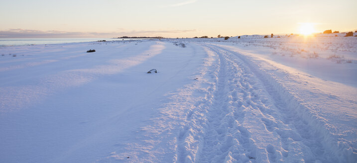 Reifenspuren im Schnee - FOLF02381