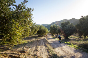 Rear view of man cycling on road amidst trees against sky - CAVF30458