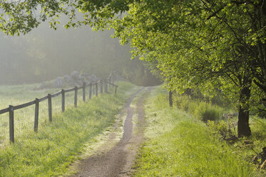 Fence along country road - FOLF02529