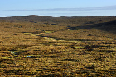 View of grassland on sunny day - FOLF02542
