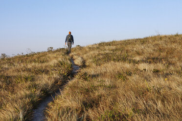 Männlicher Wanderer auf einem grasbewachsenen Berg - CAVF30637