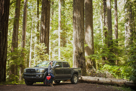 Wanderin lehnt an einem Pick-up im Wald im Redwood National and State Parks, lizenzfreies Stockfoto