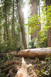 Wanderin erkundet den Wald, während sie auf einem Baumstamm im Redwood National and State Parks sitzt - CAVF30779