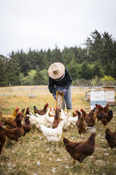 Imkerin beim Füttern der Hühner auf dem Bauernhof - CAVF30784