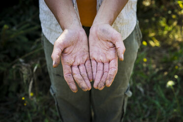 Hochformatige Ansicht eines Imkers mit schmutzigen Händen, der auf einem Feld steht - CAVF30786